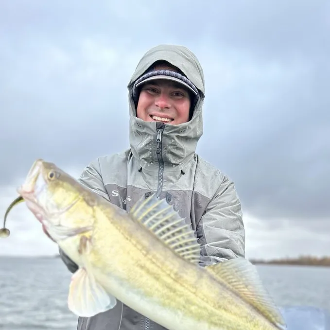 Антон, CEO Maombi